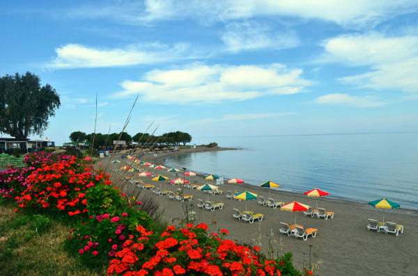beach with sun tents and flowers