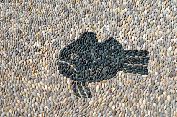 grumpy fish pebbles mosaic on the