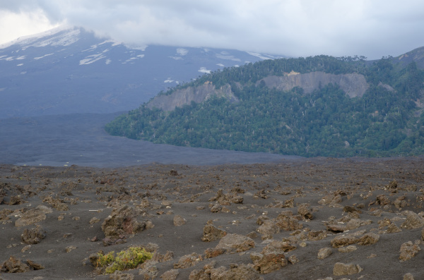 field of solidified lava and llaima
