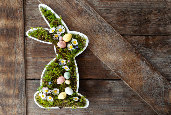 easter bunny with flowers