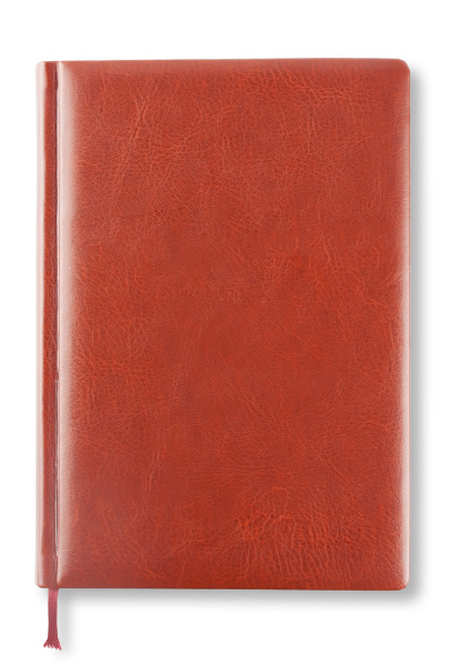 brown leather diary