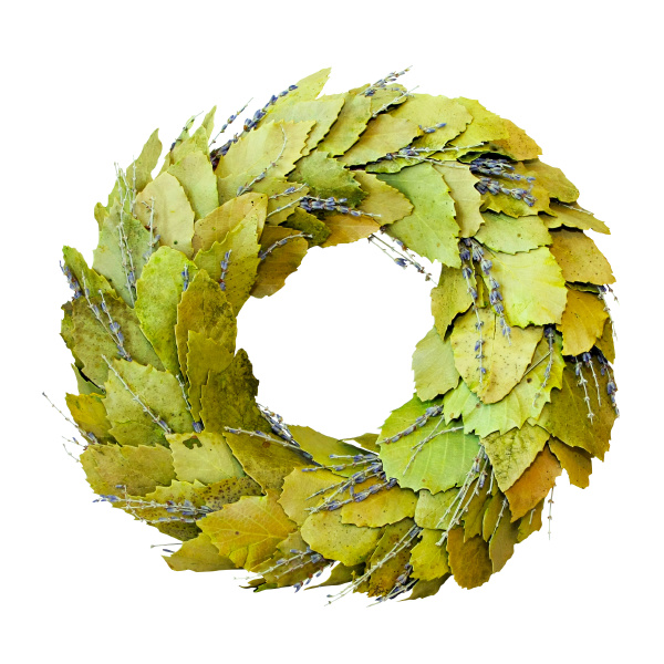 laurel, wreath, isolated - 28277669
