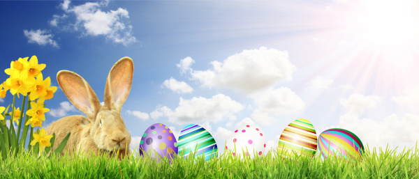 beautiful, easter, background, with, colorful, easter - 28278296