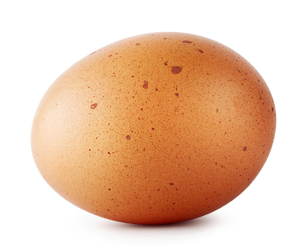 brown, chicken, egg, speckled - 28278653