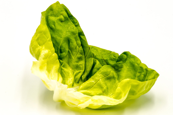 fresh, green, lettuce, salad, leaf - 28278271