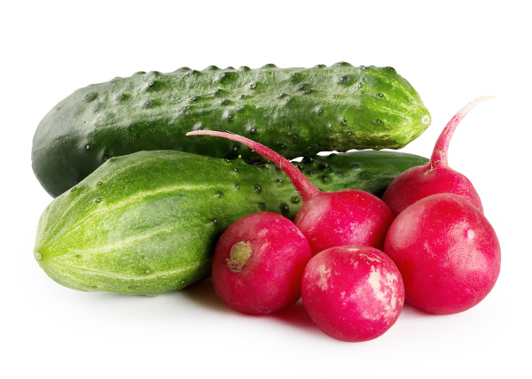 ripe, green, cucumbers, and, radishes - 28278711