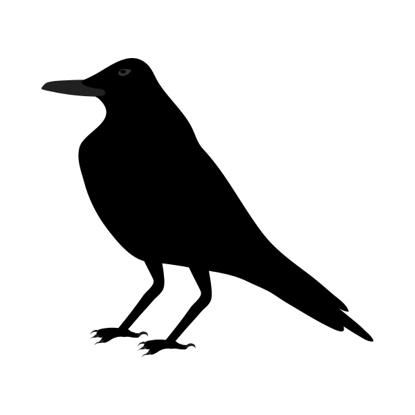 black, crow - 28279215
