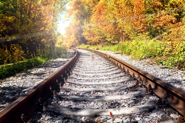 rusty, railroad, in, autumn, forest - 28279656