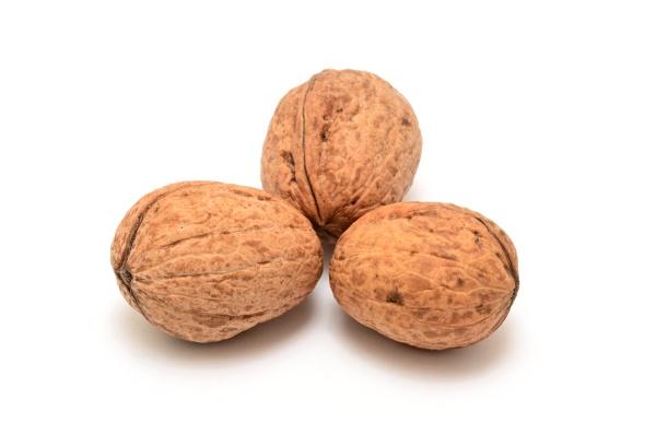 walnuts, on, white, background - 28280048