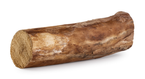 log without bark lying horizontally