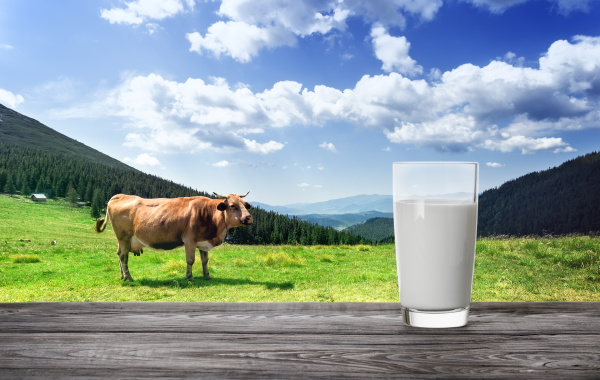 glass of milk against mountain pasture