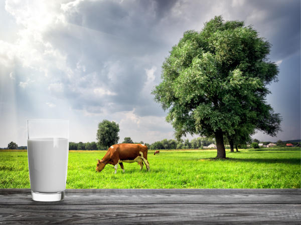 glass of milk on background of