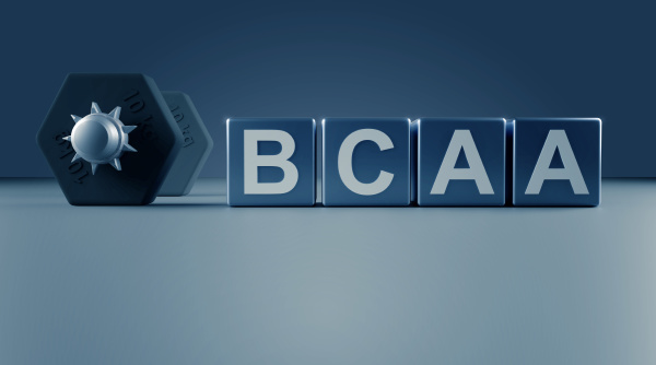 blocks with the letters bcaa and