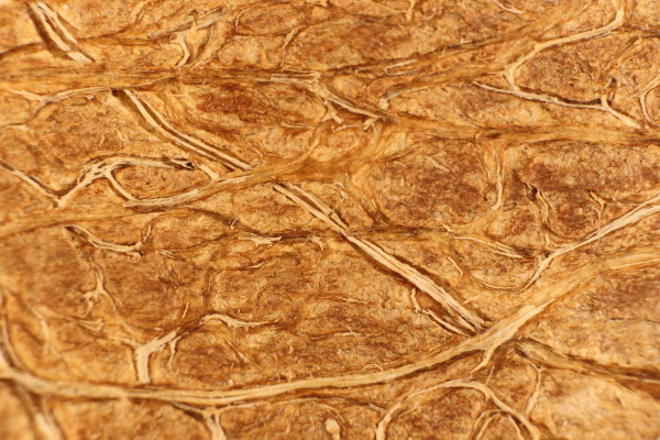 coconut nut fibers surface texture