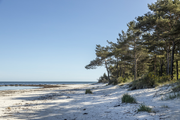 lonely beach in danish bornholm island