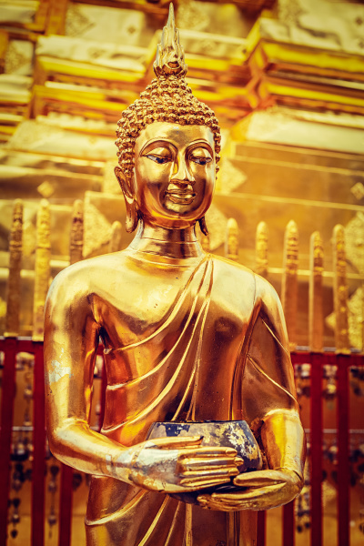 gold buddha statue in wat phra