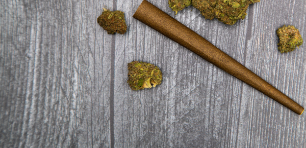 buds of medical marijuana and hemp