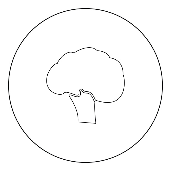 broccoli black icon in circle vector