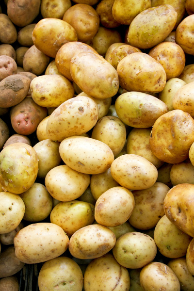 potato vertical