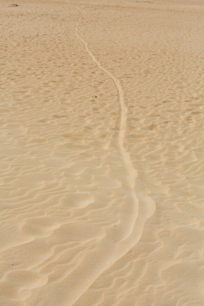 sand patterns after wind on