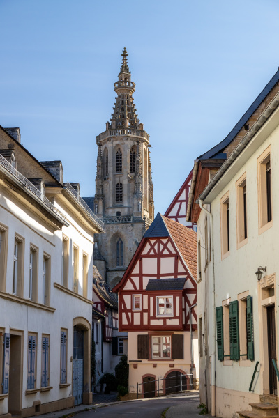 cobbled road with historic houses and