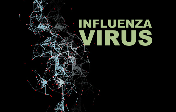 illustration of influenza virus cells
