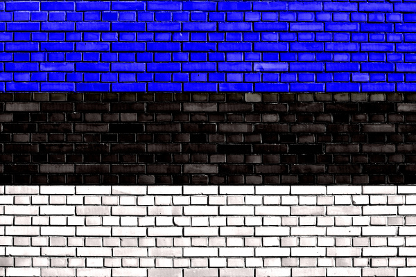 flag of estonia painted on brick