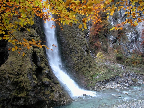waterfall in a forest in autumn