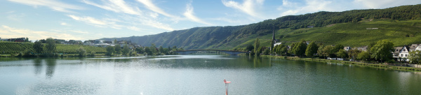river moselle panorama