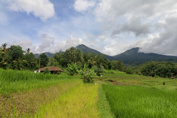 jatiluwih and the landscape of mount