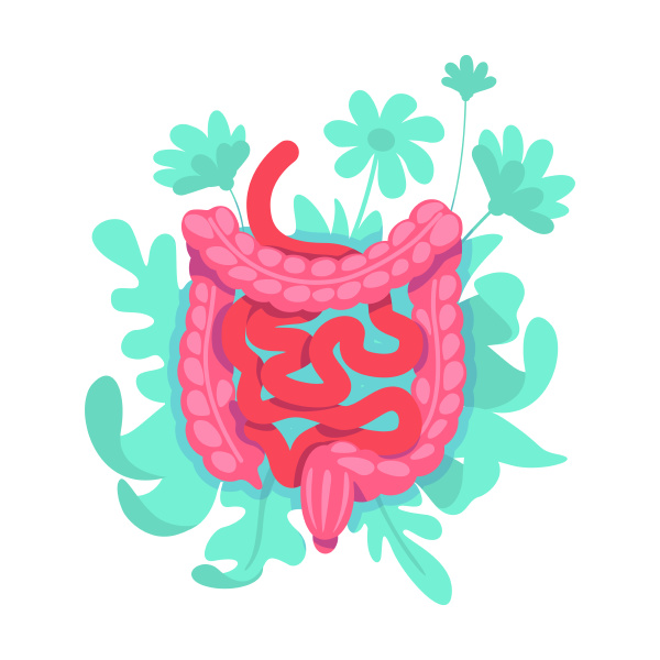 large intestine flat concept vector illustration