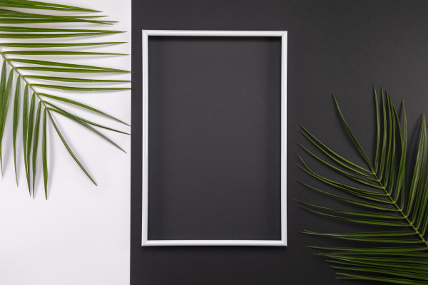 frame of tropical palm leaves on
