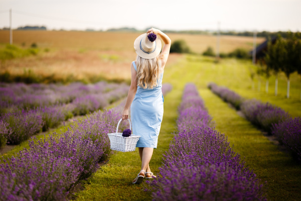 blonde girl on a lavender field