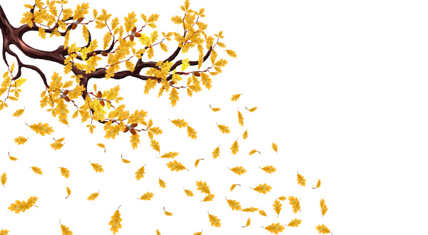 yellow autumn branch of an oak