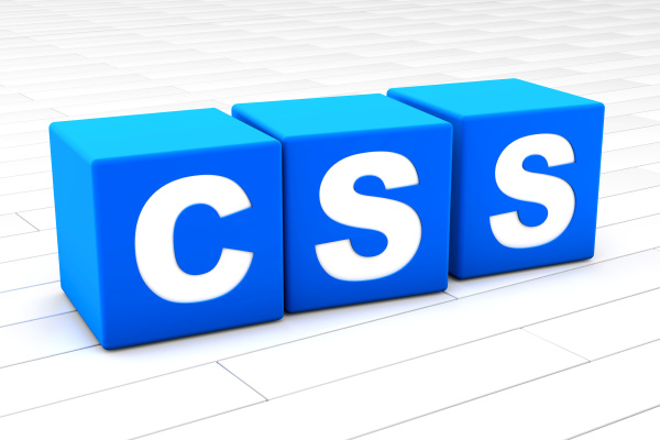 3d illustration of the word css