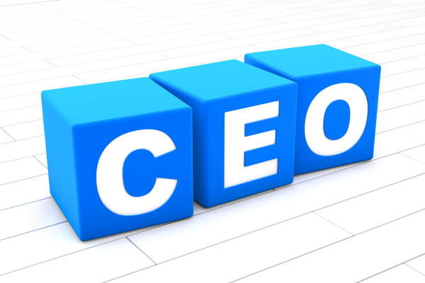 3d illustration of the word ceo