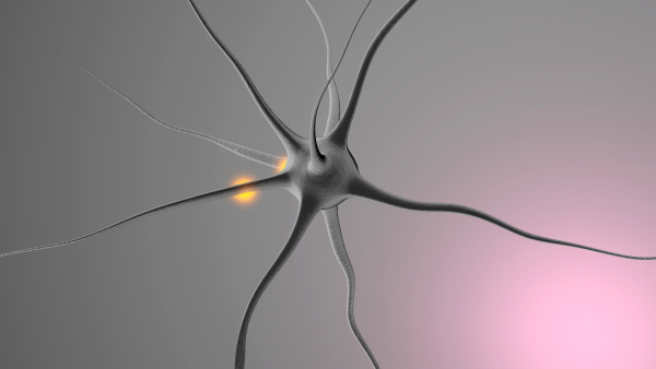 3d rendered illustration of a neuronal