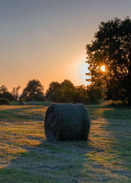hay rolls agriculture germany