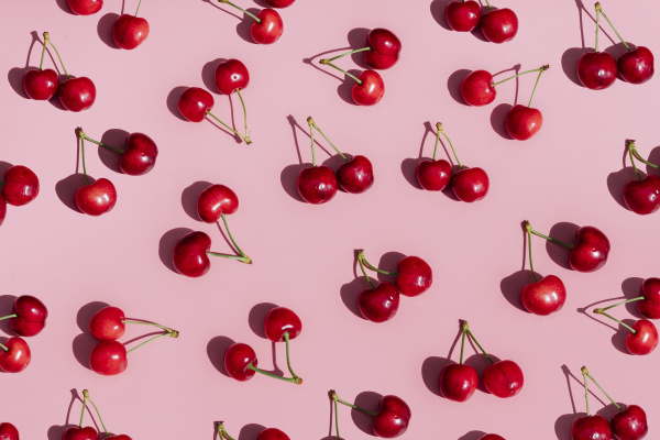 fresh cherries on pink background