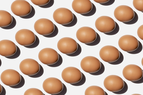 pattern of chicken eggs against white