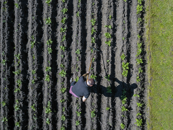 aerial view of man working on