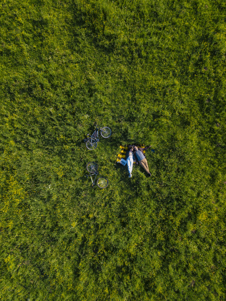 couple lying on grass aerial
