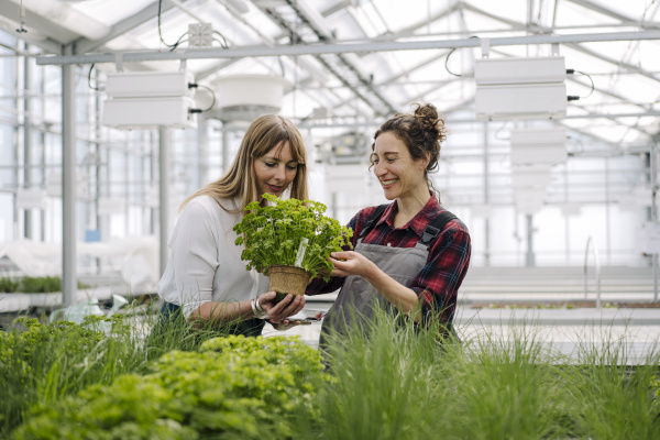 gardener and businesswoman with parsley plant