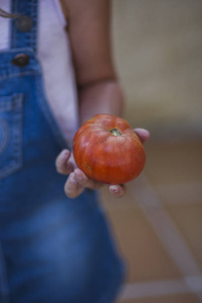 girl with harvested red tomato in