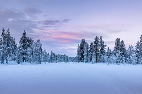 winter landscape with trees hetta