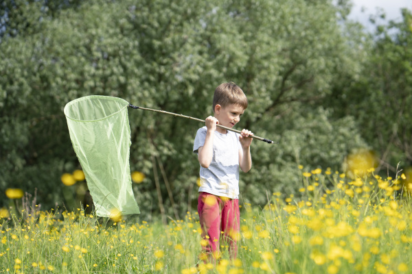 cute boy catching butterflies with net