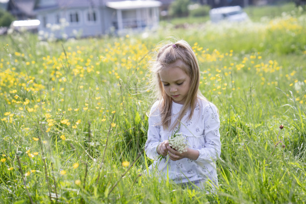 cute girl picking flowers while sitting