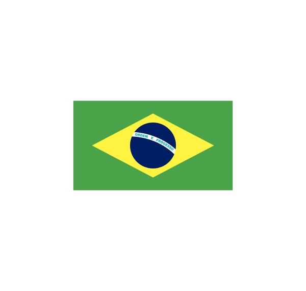 brazil flag vector illustration icon