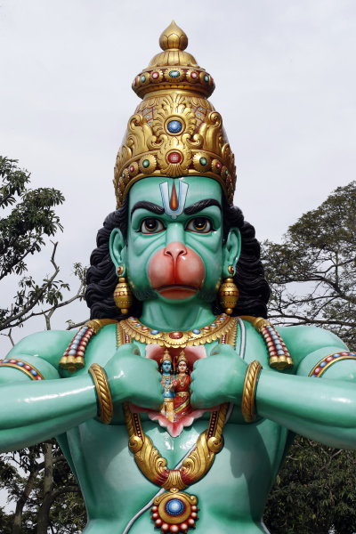 the hindu god hanuman monkey