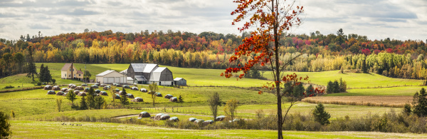 a farm with barns and autumn